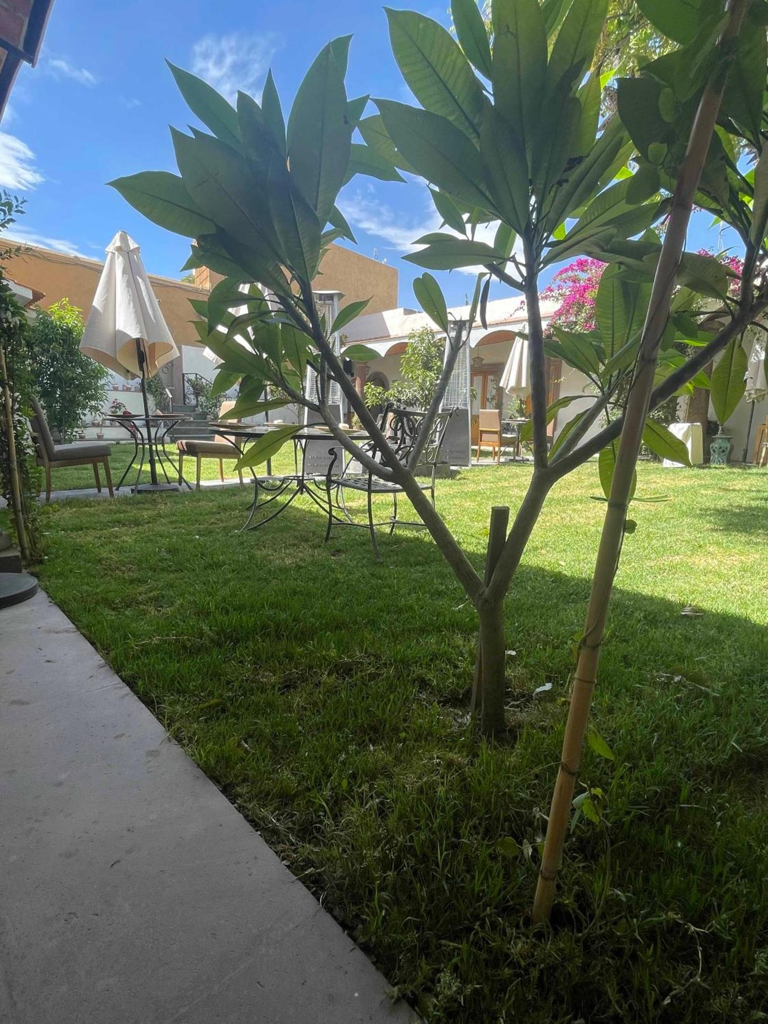 Hotel Casona El Calvario Huichapan Dış mekan fotoğraf